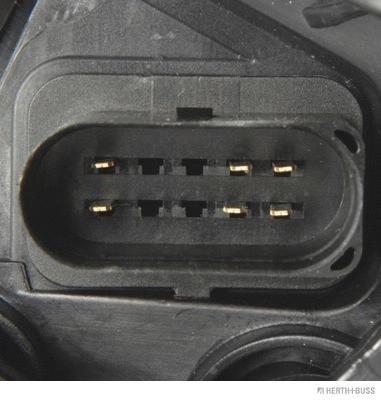 Headlight (81658173)