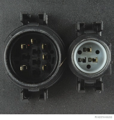 Tail Light Assembly (83840503)