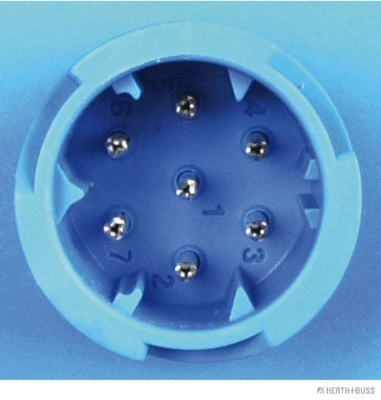 Tail Light Assembly (83830068)