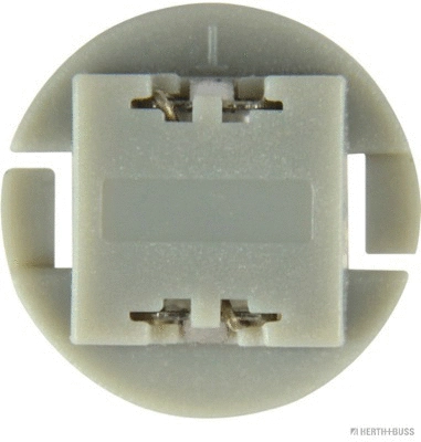 Bulb, instrument lighting