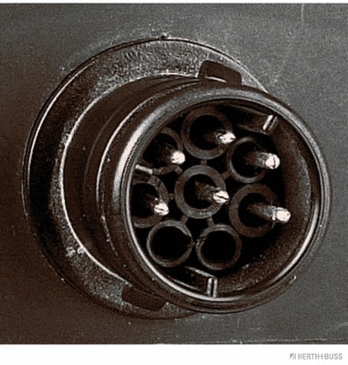 Tail Light Assembly (83840584)