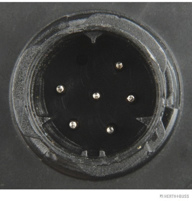 Tail Light Assembly (83830234)