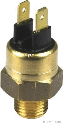 Temperature Switch, radiator fan (70511081)