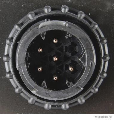 Tail Light Assembly (83840057)