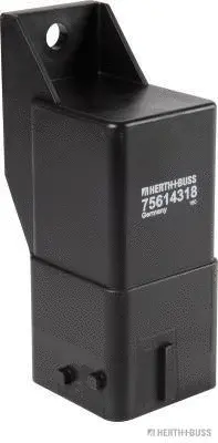 Control Unit, glow time (75614318)