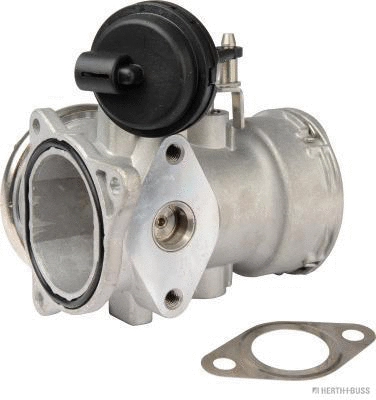 EGR Valve (70671008)
