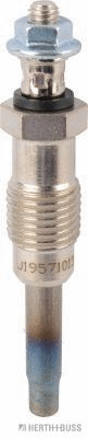 Glow Plug (19571013)