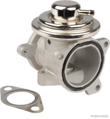 EGR Valve (70671014)