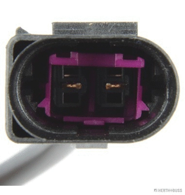 Front Fog Light (81660030)