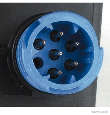 Tail Light Assembly (83840547)