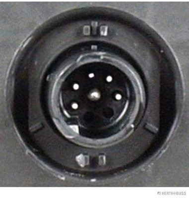 Tail Light Assembly (83840513)