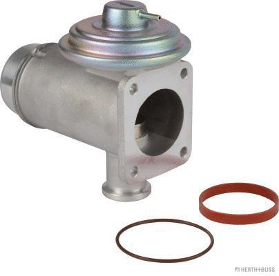 EGR Valve (70671105)