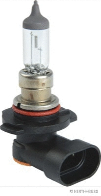 Bulb, front fog light (89901305)