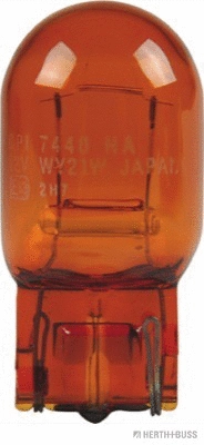 Bulb, direction indicator (89901079)