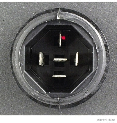 Tail Light Assembly (83830505)