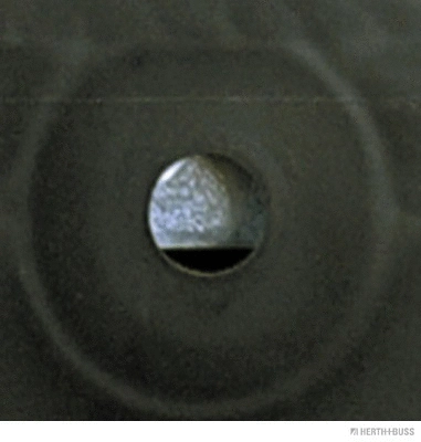 Tail Light Assembly (83830371)