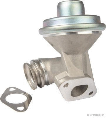 EGR Valve (70671306)
