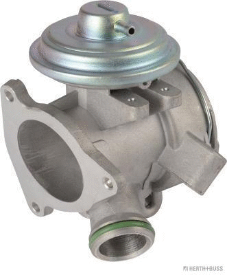 EGR Valve (70671205)