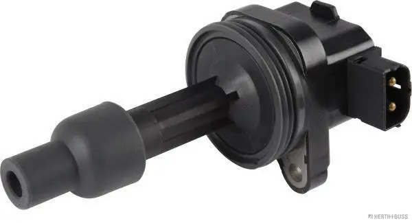 Ignition Coil (19050089)
