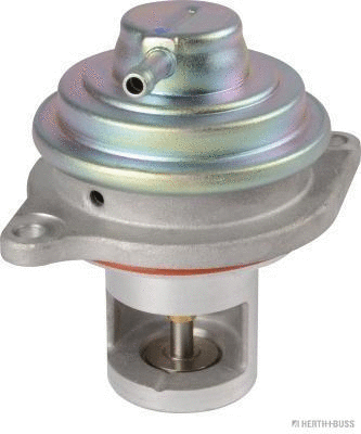 EGR Valve (70671206)
