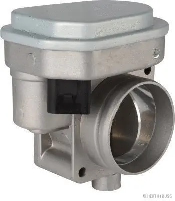 Throttle Body (70650034)