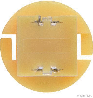 Bulb, instrument lighting