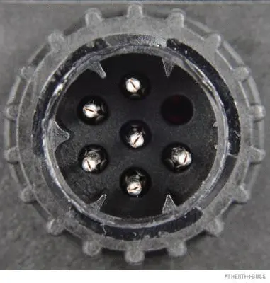 Tail Light Assembly (83830056)