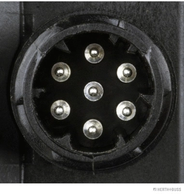 Tail Light Assembly (83830054)