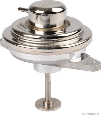 EGR Valve (70671413)