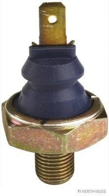 Oil Pressure Switch (70541065)