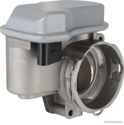 Throttle Body (70650033)