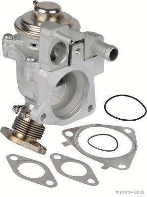 EGR Valve (70671510)