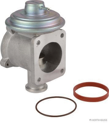 EGR Valve (70671106)
