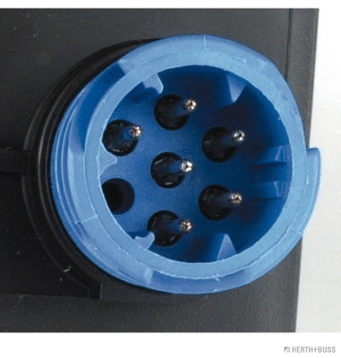 Tail Light Assembly (83840545)