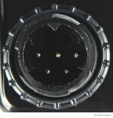 Tail Light Assembly (83840588)