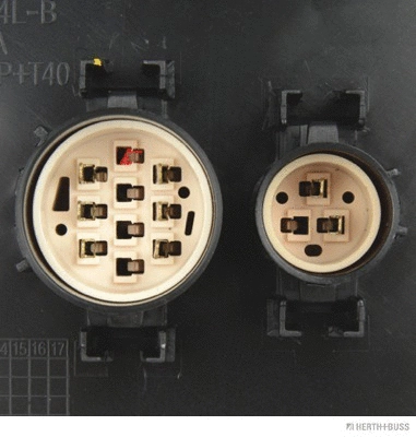 Tail Light Assembly (83840477)