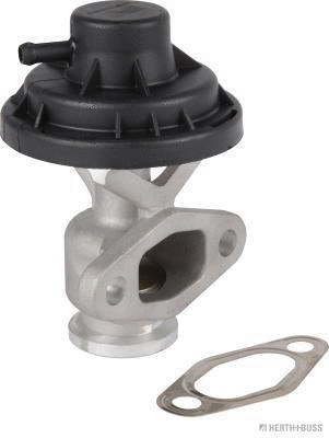 EGR Valve (70671024)