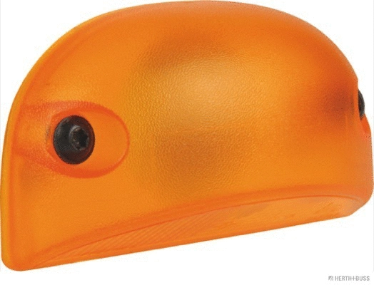 Auxiliary Direction Indicator (83700005)