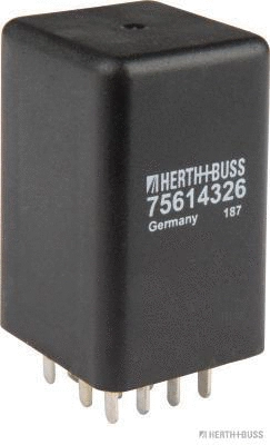 Control Unit, glow time (75614326)