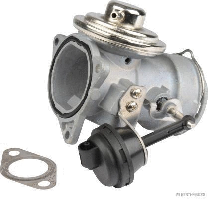 EGR Valve (70671011)