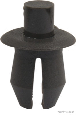 Expanding Rivet (50267085)