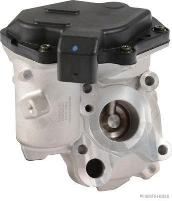 EGR Valve (70671211)