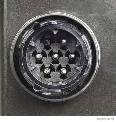 Tail Light Assembly (83840656)