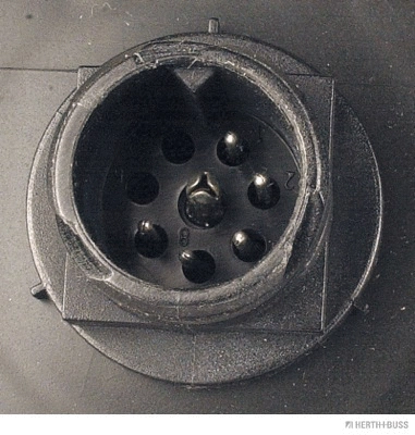 Tail Light Assembly (83840618)