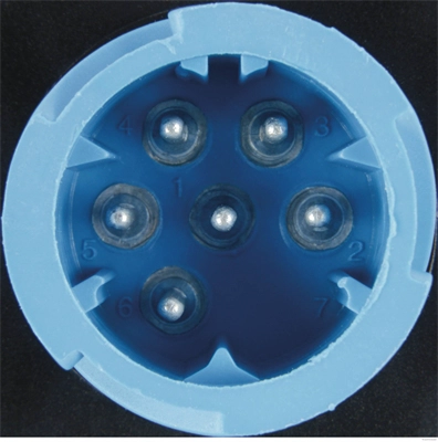 Tail Light Assembly (83840776)