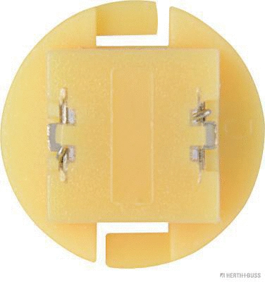 Bulb, instrument lighting