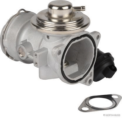 EGR Valve (70671033)