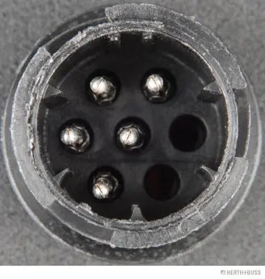 Tail Light Assembly (83830060)