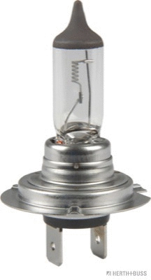 Bulb (89901054)