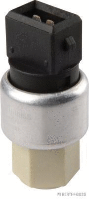 Pressure Switch, air conditioning (70100027)
